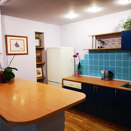 Park Apartment Kaunas