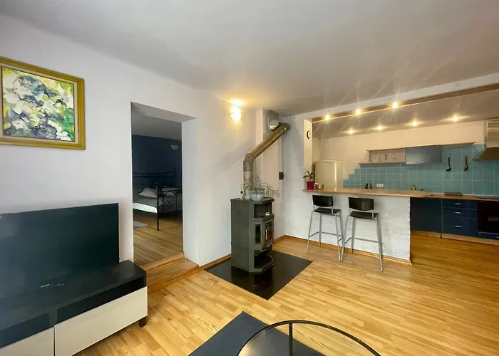 Park アパート カウナス